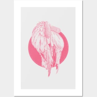 Flamoongo - The Pink Side of the Moon Posters and Art
